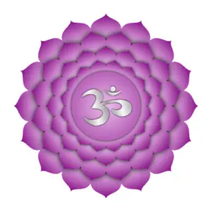 Immagini-per-categorie-sito-_31_