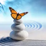5 MEDITATION SESSIONS