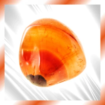 Immagini-per-categorie-sito-2025-04-14T232253.309