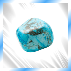 Immagini per categorie sito - 2025-04-14T234359.355