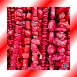 CORALLO-_6_